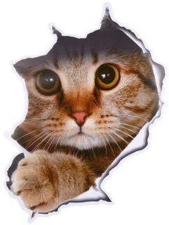 Allecto - Dieren Toiletempel Wandsticker