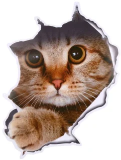 Allecto wandsticker Dieren Toiletempel