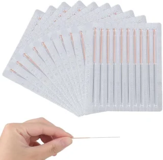 Cleaning Needles 0.2 mm - RVS - 100 stuks - ShopVlot