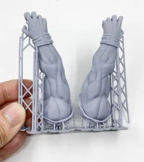 FlashForge Foto 8.9 SLA 3D-printer