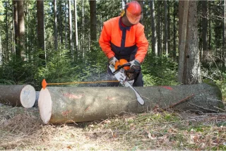 Afkortstok 50 cm - Zaaggeleider