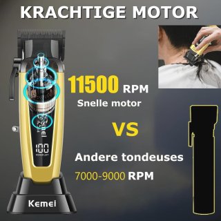 Conclusie