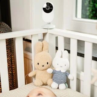 Alecto DVM2028 Babyfoon met Camera wit