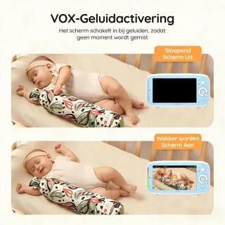 Conclusie
