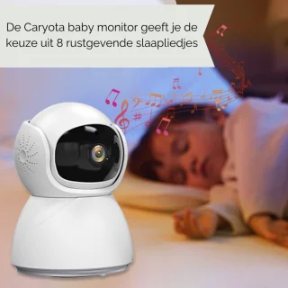 Caryota Babyfoon met camera