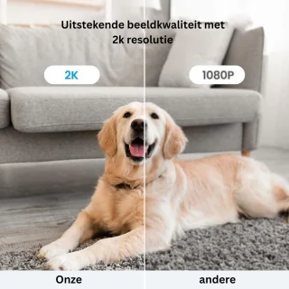 CRLYN Hondencamera Full HD Zwart