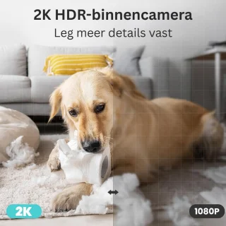 DailySupplies® Hondencamera Zwart