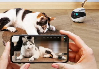 Enabot EBO Rijdende Babyfoon met Camera en Wifi