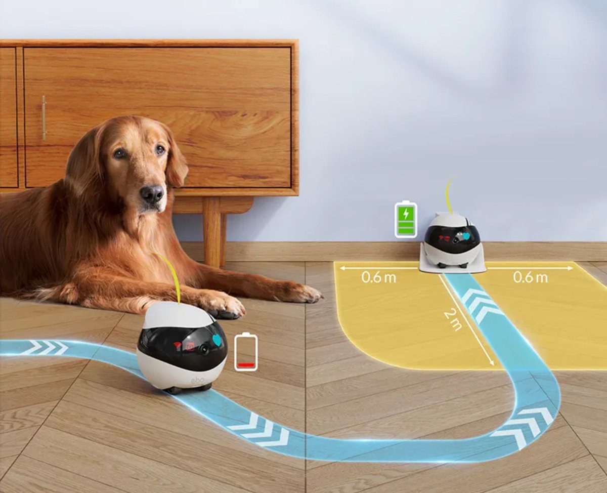 Enabot EBO Rijdende Babyfoon met Camera en Wifi