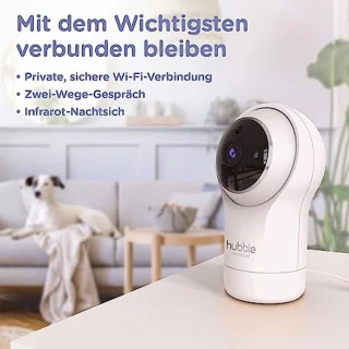 HomeView S1 WiFi-camera
