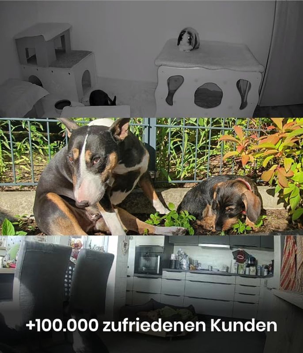 Hondencamera Babyfoon Full HD met App