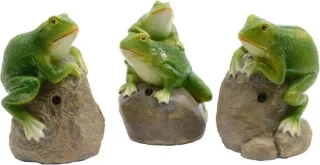 Kikker Speelgoed