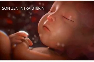 Motorola VM55 Babyfoon met Camera 5-inch Display