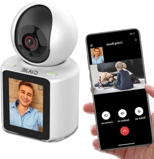 Nanny cam - wit
