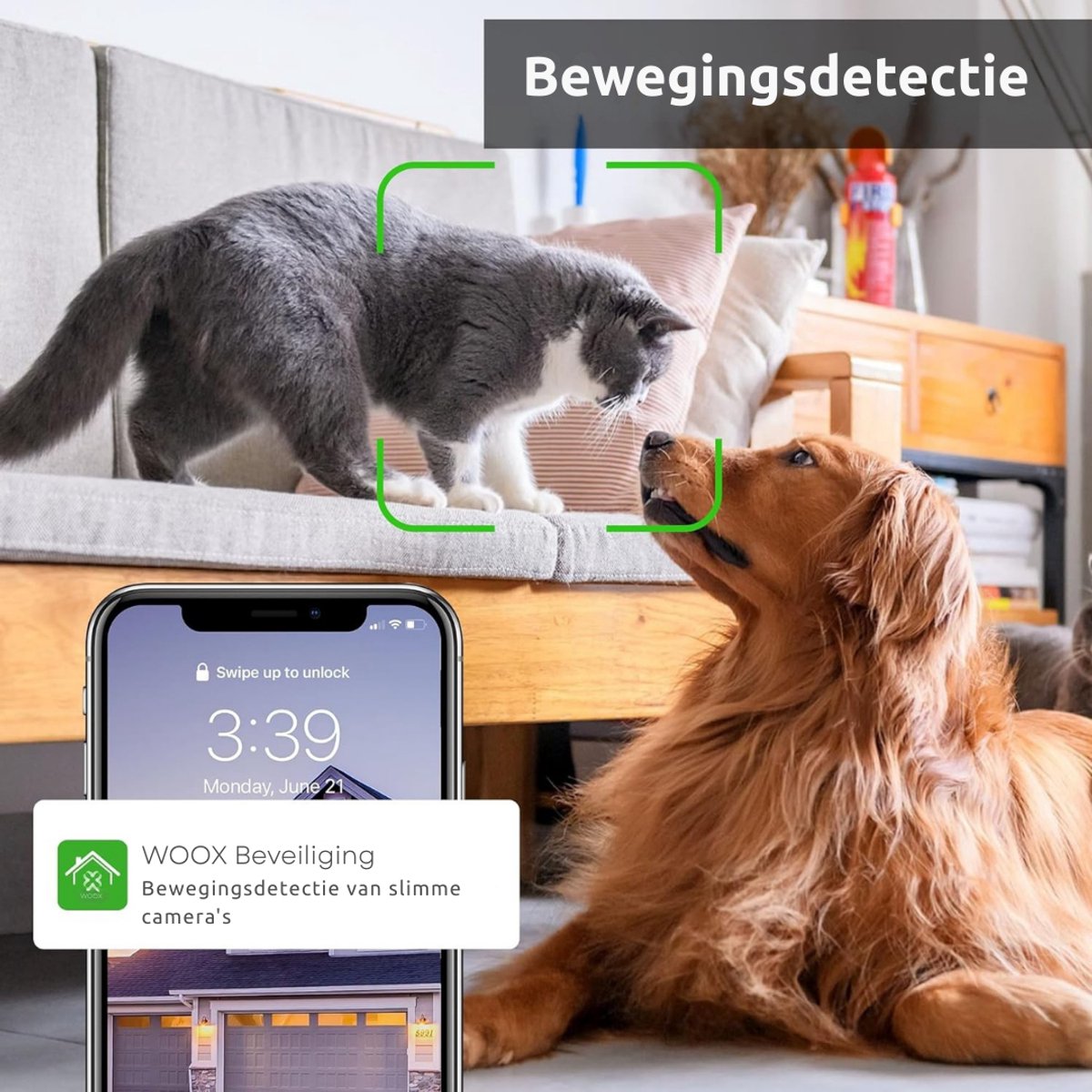 Petcam Huisdiercamera en Babyfoon Met App