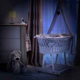 REER Videobabyfoon 80430 2.4 GHz