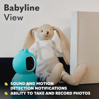 Videobabyfoon