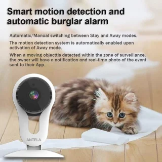 Wifi IP-camera 1080p Binnenshuis