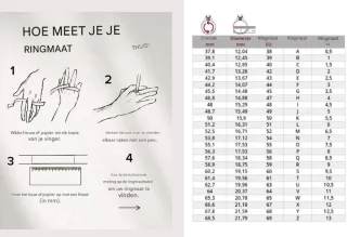 DrPhone RingSense V2 Smart Ring - Maat 62 - Zilver