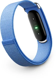 Wat vinden we goed aan de Google Fitbit Air Lavender - Activity Tracker