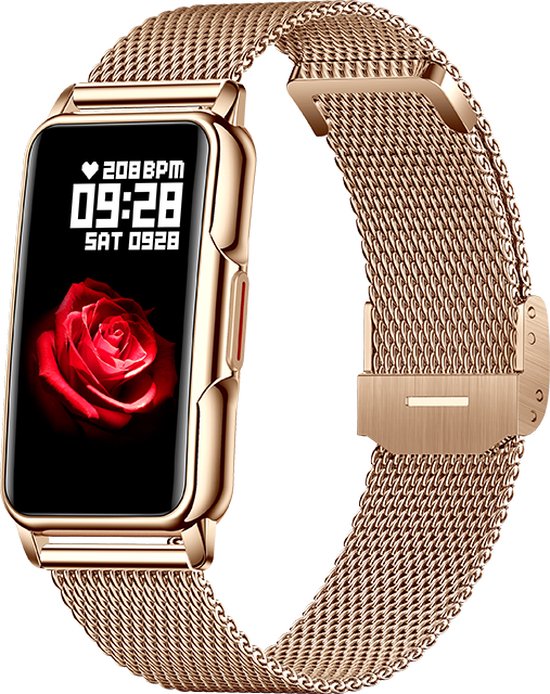Kiraal Livery Activity Tracker RVS Goud review