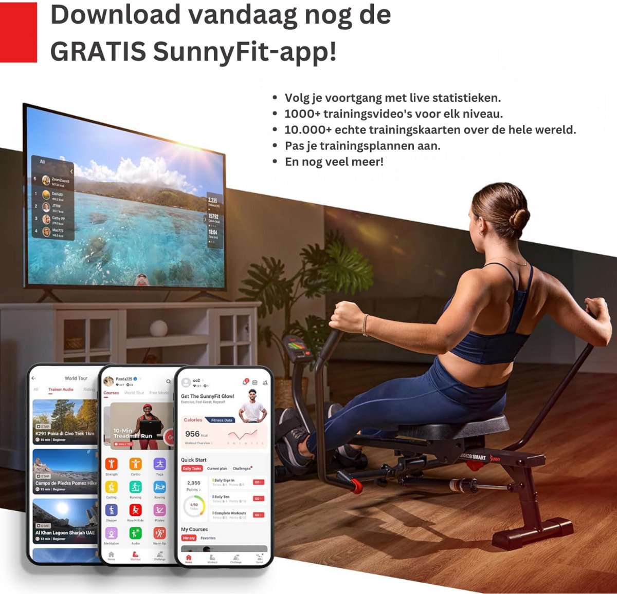 ApexArte Roeiapparaat Crosstrainer
