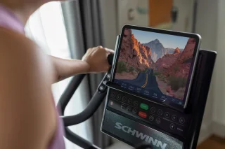 Schwinn 590E Crosstrainer Zwart