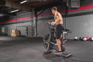 Schwinn Airdyne AD8 Pro Airbike