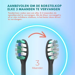 AXIMO Elektrische Tandenborstel Sonic USB Zwart inclusief 4 Opzetborstels