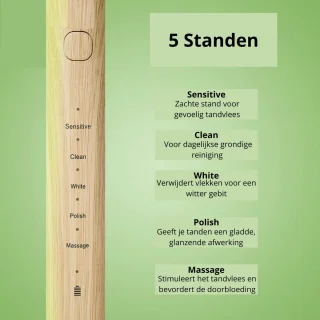 Bamboe Elektrische Tandenborstel Oplaadbaar Met 2 Opzetborstels