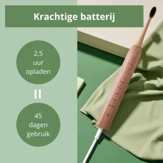 Bamboe Elektrische Tandenborstel Oplaadbaar Met 2 Opzetborstels