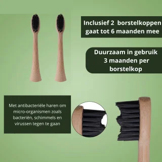 Bamboe Elektrische Tandenborstel Oplaadbaar Met 2 Opzetborstels