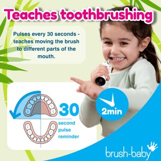 Brush-Baby WildOnes Pan-Pan de Panda elektrisch kindertandenborstel