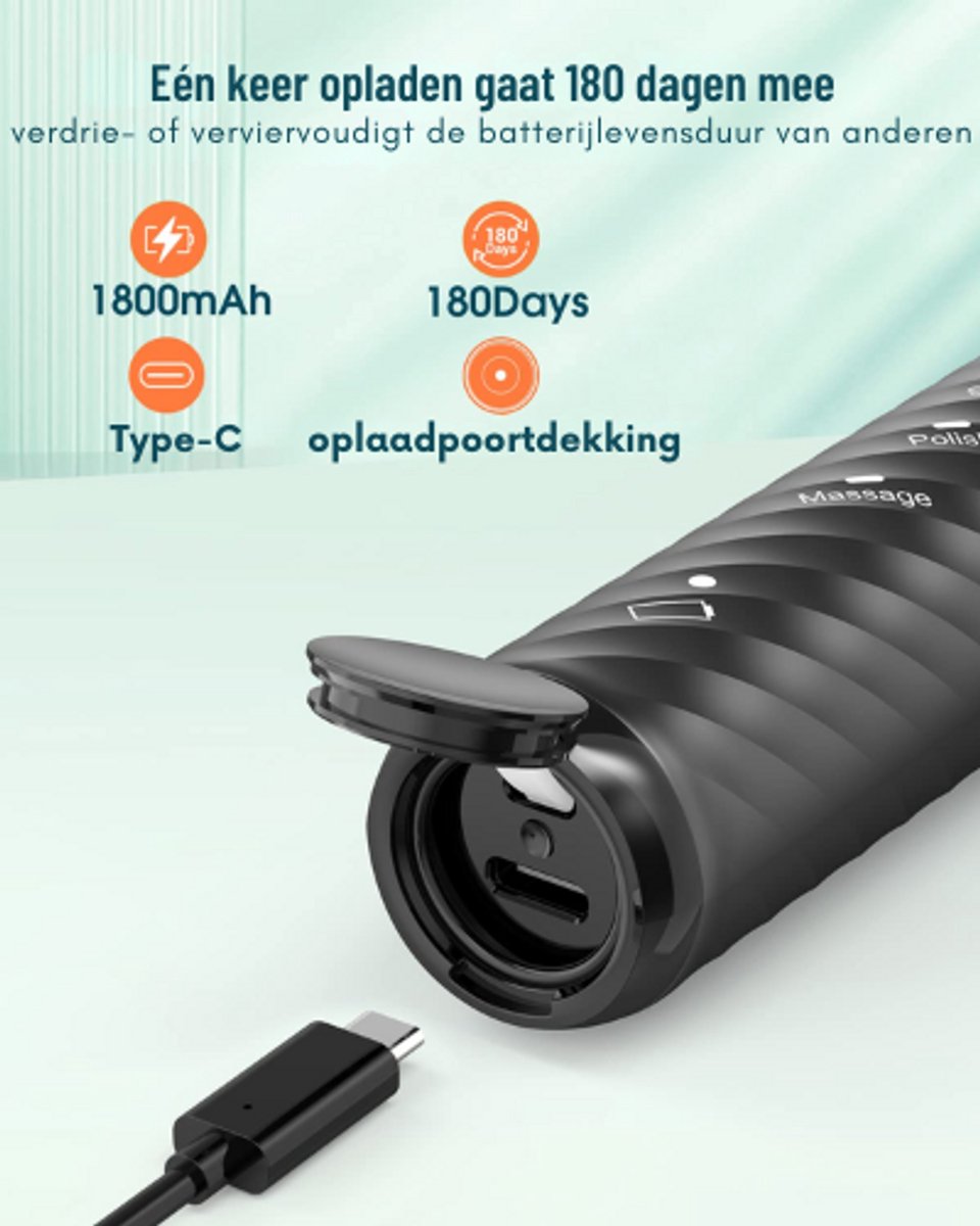 Elektrische Tandenborstel met 6 Opzetborstels en USB-C Oplaadkabel