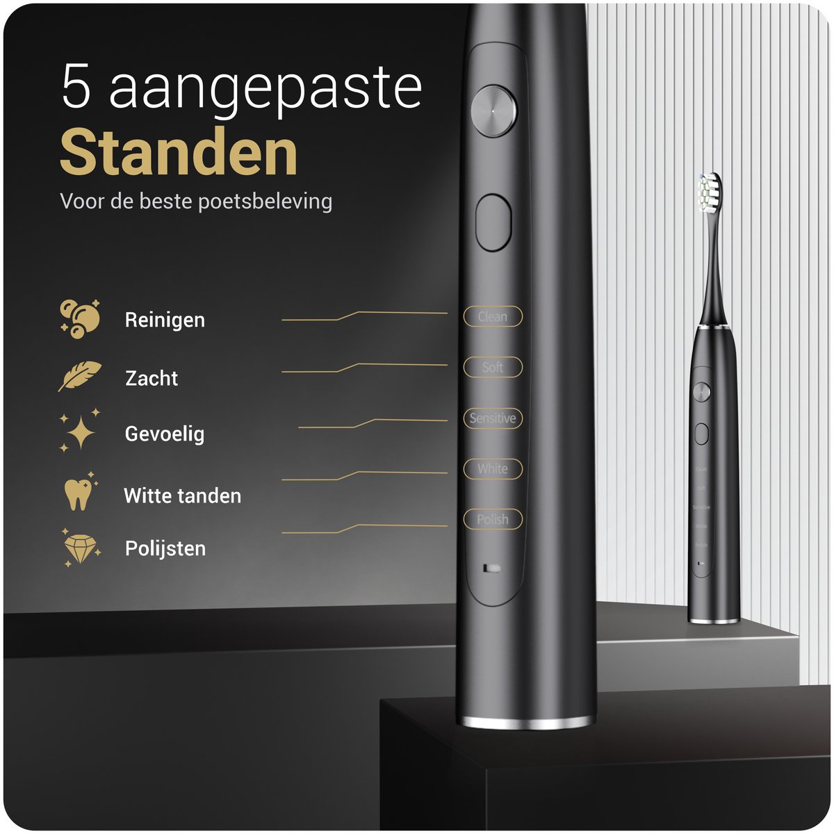Elektrische Tandenborstel Zwart met Reisetui
