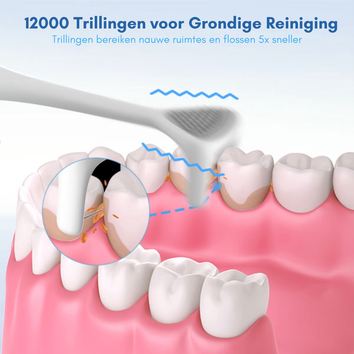 HAIDU Elektrische Tandenborstel en Flosser Wit