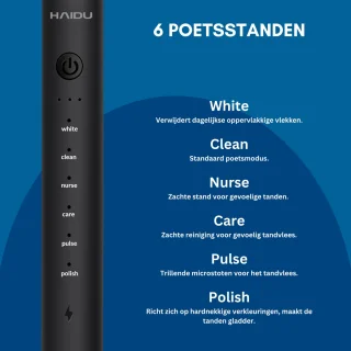 HAIDU Elektrische Tandenborstel Zwart met 4 Opzetborstels