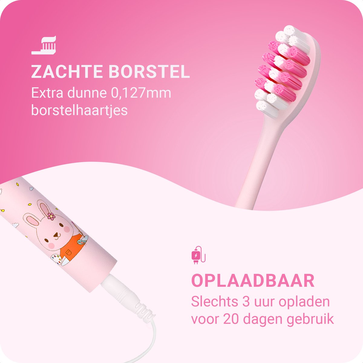 Conclusie