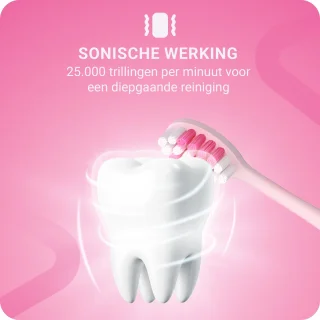 JT Products Sonische Elektrische Tandenborstel Roze Konijn voor Kinderen