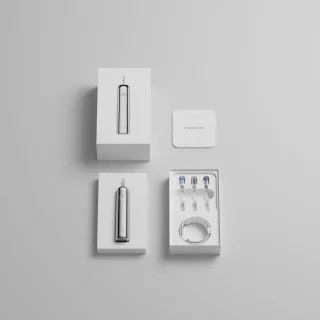 Laifen Wave Elektrische Tandenborstel RVS