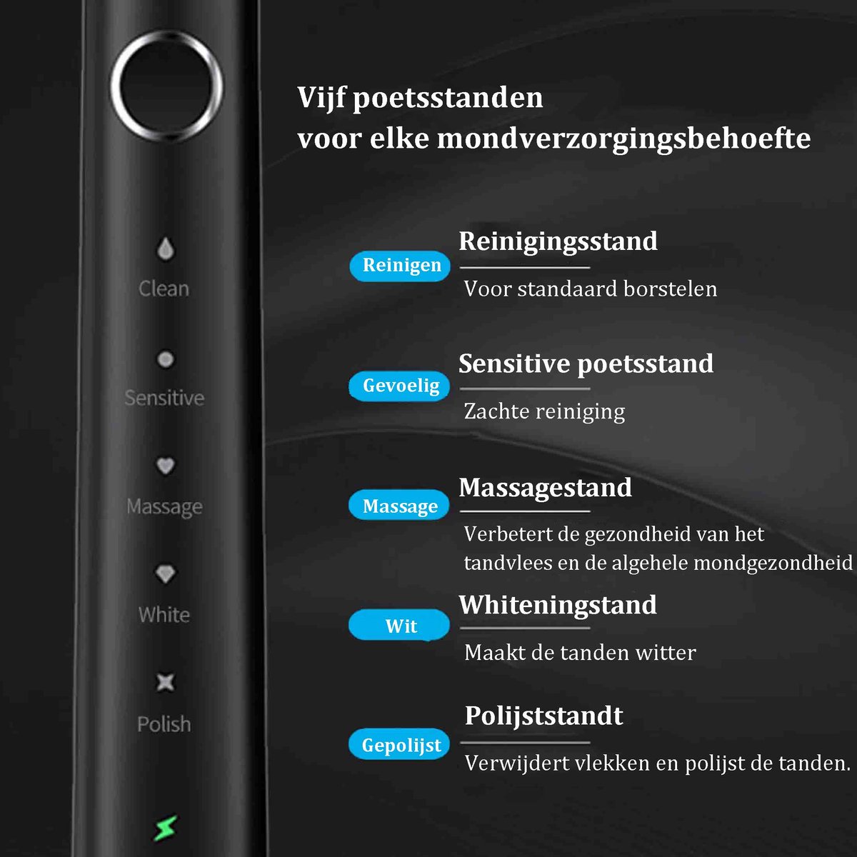 NAXSIR Elektrische Tandenborstel met 6 Opzetborstels