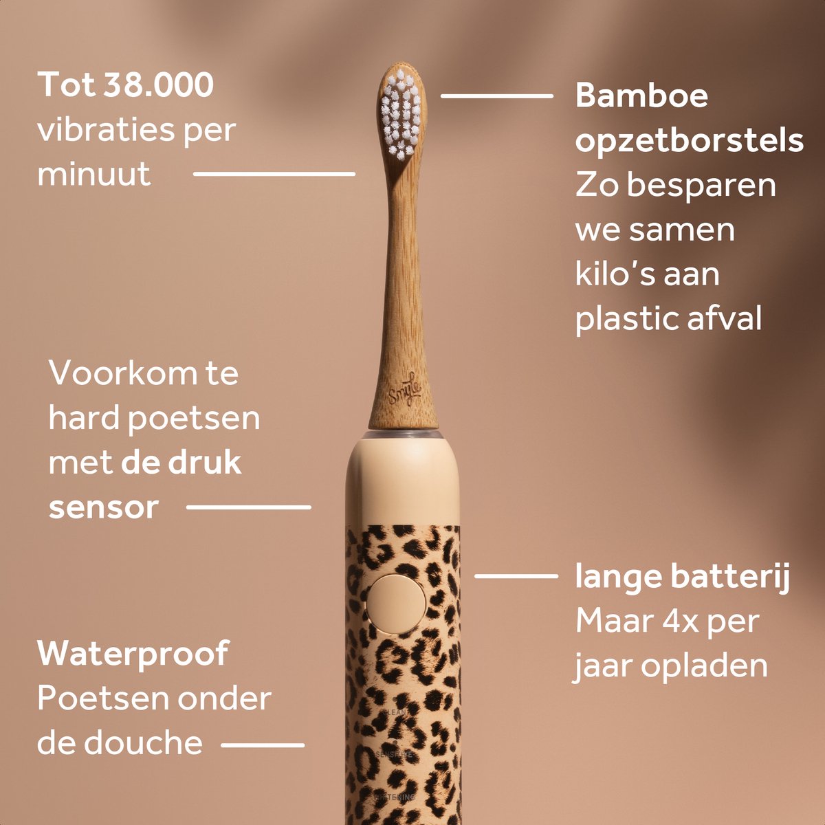 Conclusie