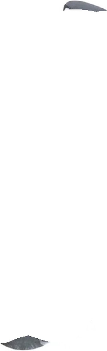 De Sonic Elektrische Tandenborstel Ultrasoon Draadloos USB in één oogopslag