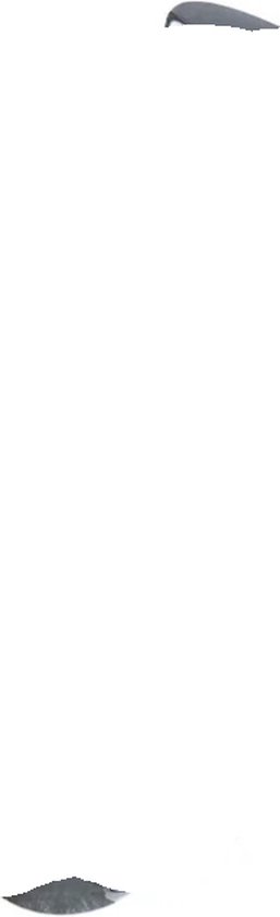 Praktische sonische reiniging met extra whitening — een goede allrounder