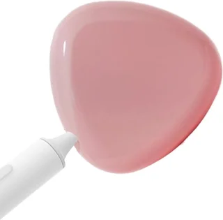 Tandenborstel reiniger uv etui