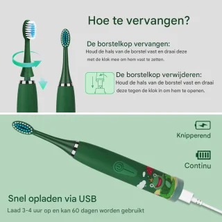 Ynkkvre Elektrische Kinderzahnbürste 1 stuk groente