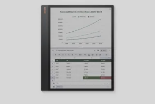2e Kansje Boox Tab X C - Tablet