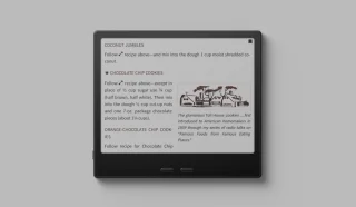BOOX Go Color 7 Gen II Zwart E-reader