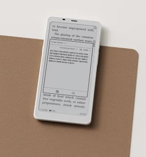 Boox Palma2 Wit e-reader 6,13"