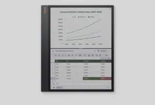 Boox Tab X C 13.3" e-inkt tablet Android